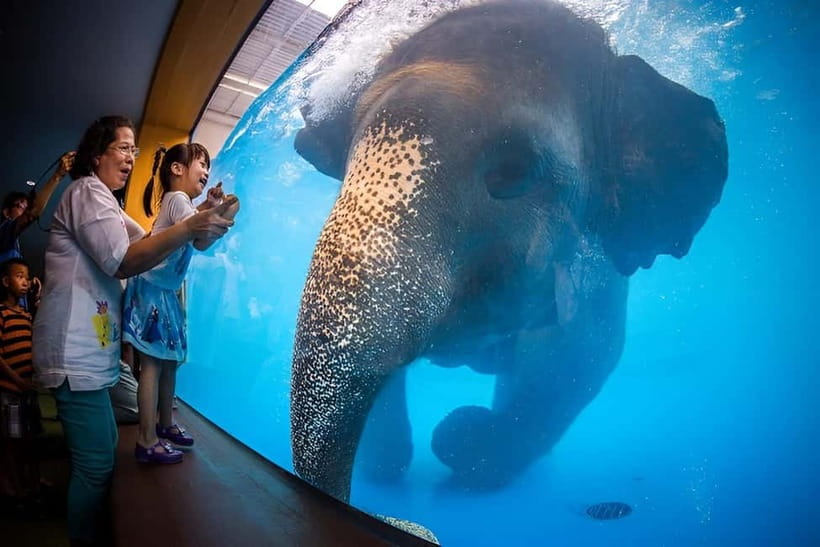Bangkok/Pattaya: Khao Kheow Zoo Private Tour with Pickup - Key Things You’ll Notice Right Away