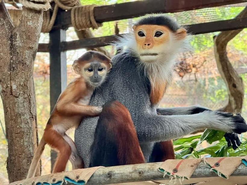 Bangkok/Pattaya: Khao Kheow Zoo Private Tour with Pickup - Pink Zone Drive-Through: Why This Tour Feels Easier