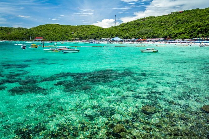 Coral Island Pattaya: Indian Lunch, Transfer (India Travelers) - Key things to know before you go