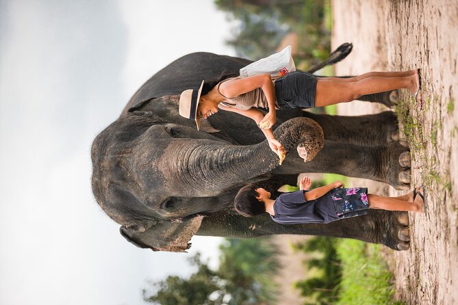 Elephant Jungle Sanctuary: Half Day Morning Program - Getting There: Pattaya and Jomtien Pickup Plus the Camp Meeting Point