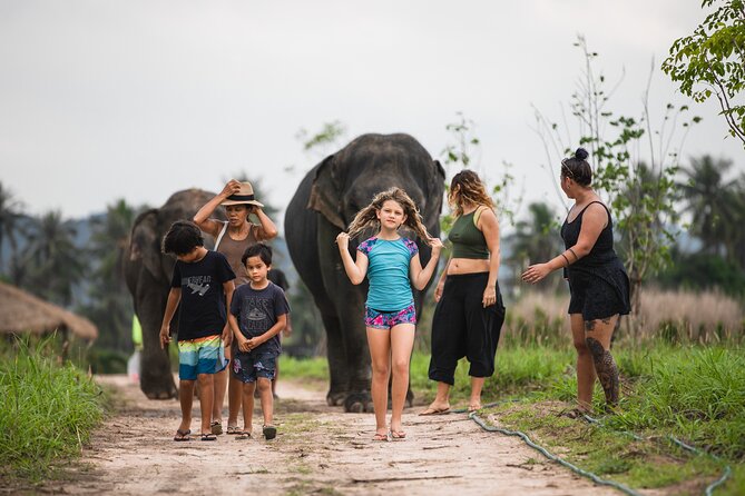 Elephant Jungle Sanctuary: Half Day Morning Program - Lunch Time in the Middle of the Morning: Tasty Food, Outdoor Bugs to Plan For
