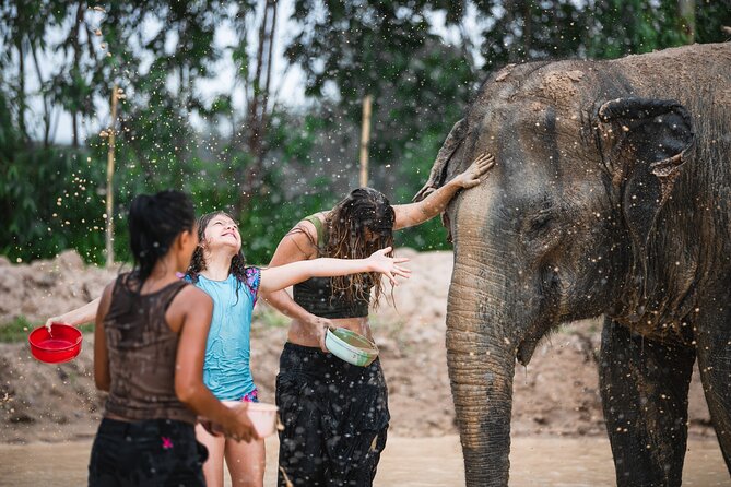 Elephant Jungle Sanctuary: Half Day Morning Program - Photos, Tie-Dye, and Paper-Making: Small Extras That Add Meaning
