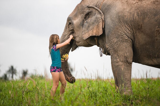Elephant Jungle Sanctuary: Half Day Morning Program - Value and Price: Is $94.53 a Good Deal for Three Hours?