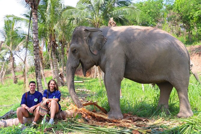 Ethical Elephant Sanctuary Tour from Bangkok & Pattaya - Key highlights at this Pattaya elephant sanctuary