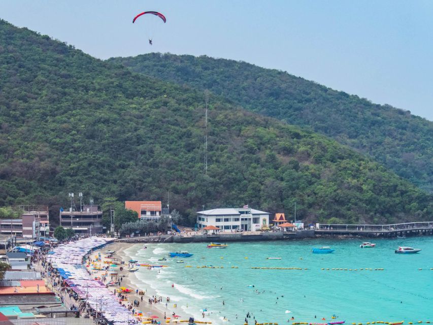 From Bangkok: Pattaya Koh Larn & Sanctuary of Truth Day Trip - Who This Trip Is Best For