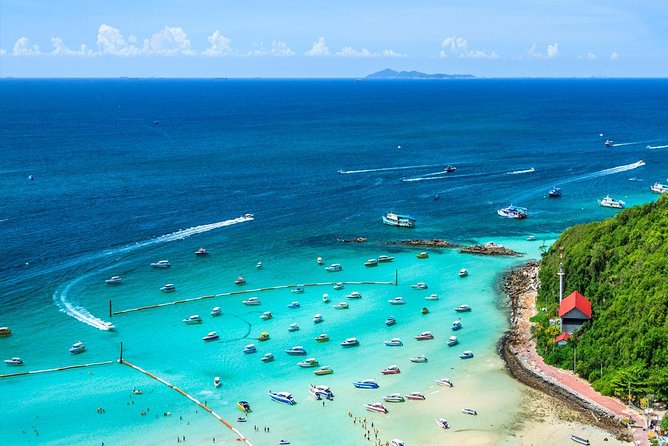 Half-day Coral Island Join Tour with Lunch from Pattaya - The Underwater Part: Thrilling for Some, Mixed for Others