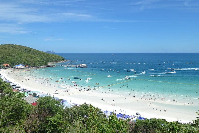 Half-day Coral Island Join Tour with Lunch from Pattaya - Small-Group Energy (Max 15): Why the Day Feels More Human