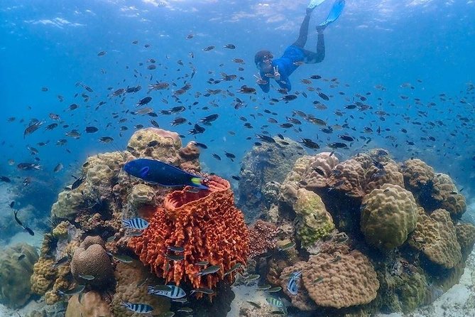 Nemo Island Experience with Drone Photos and Lunch - Secret Nemo Island: why this day trip feels worth the money