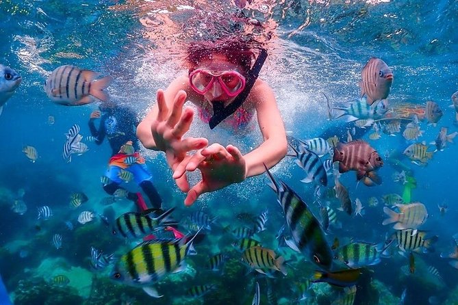 Nemo Island Experience with Drone Photos and Lunch - Snorkeling stop around 3 meters: clownfish, sea anemones, and easy viewing