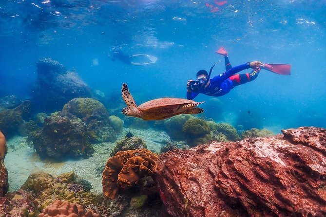 Nemo Island Experience with Drone Photos and Lunch - Lunch by the sea: how the included meal helps the day feel complete