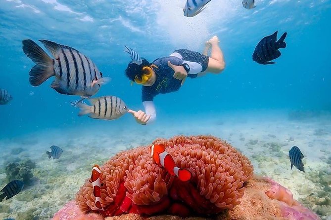 Nemo Island Experience with Drone Photos and Lunch - Photos, videos, and drone-style shots: what the crew really does well