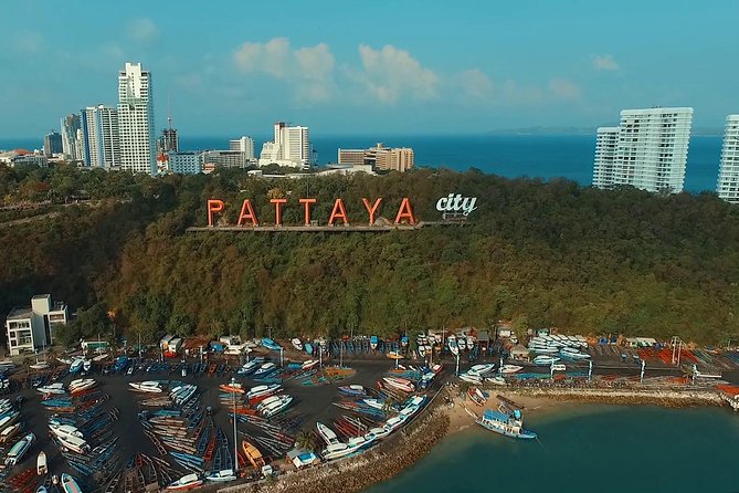 Pattaya City Tour : Big Buddha, Viewpoint & Gems Gallery - Khao Pattaya Viewpoint: The Bay Shot You Came For