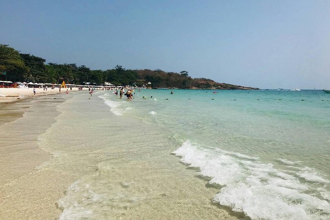 Pattaya : Coral Island Tour by Speedboat with Indian Lunch & Pick Up from Hotel - Price and logistics: is $8.63 actually good value?