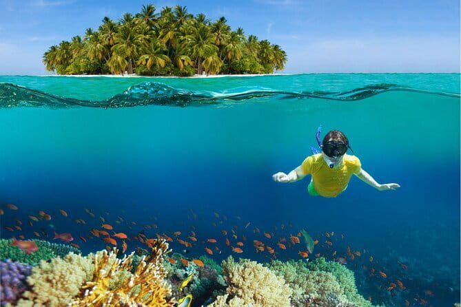 Pattaya: Coral Island Tour with Water Sports, Lunch & Pickup Drop - Getting to Bali Hai Pier: the part that can affect your mood
