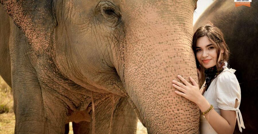 Pattaya: Elephant Jungle Sanctuary Feeding Experience - Why This Elephant Feeding in Pattaya Feels More Meaningful