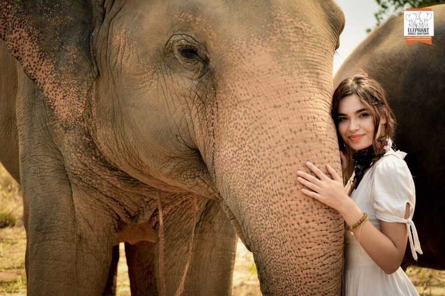 Pattaya: Elephant Jungle Sanctuary Feeding Experience - Photo Time: Getting Great Shots Without Rushing the Moment