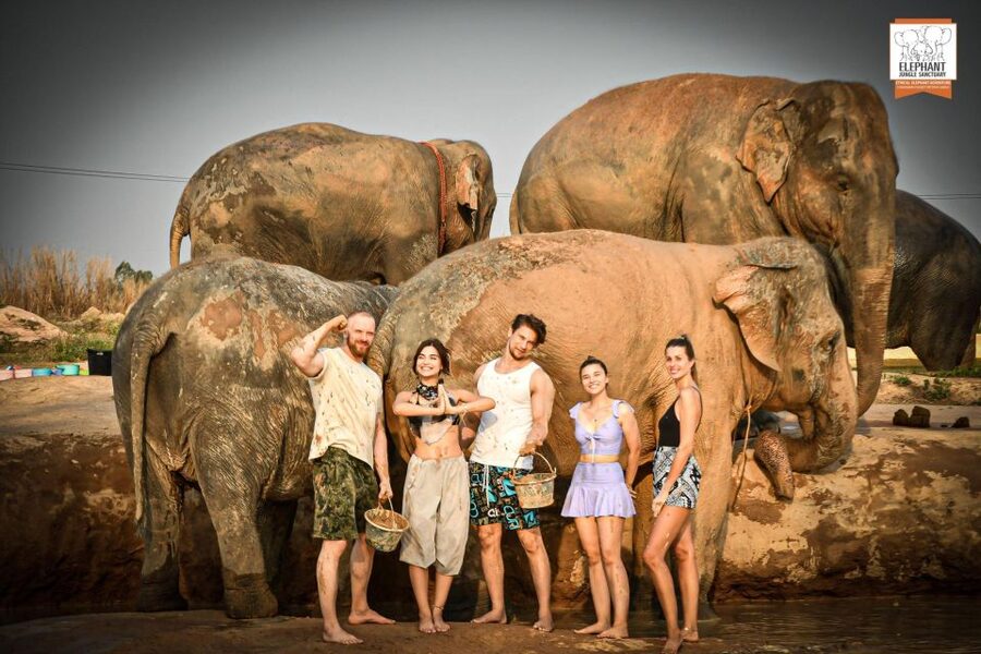 Pattaya: Elephant Jungle Sanctuary Feeding Experience - Getting There: Check-in at the Sanctuary Reception