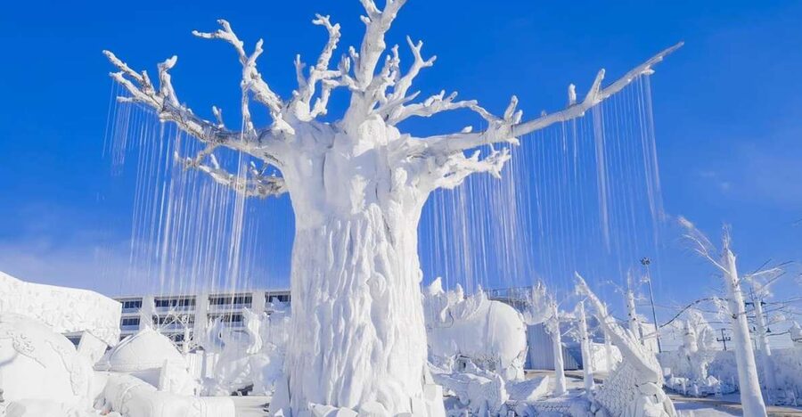 Pattaya: Frost Magical Ice of Siam Entry Ticket - Entering a Frozen Park in Pattaya’s Heat