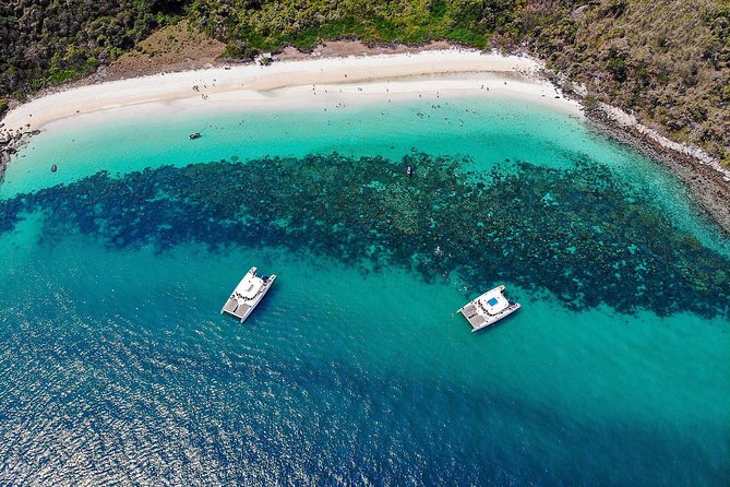 Pattaya Full-Day 3 Tropical Island tour Snorkeling Cruise Buffet - Safety and the Monkey Factor: What to Watch Closely