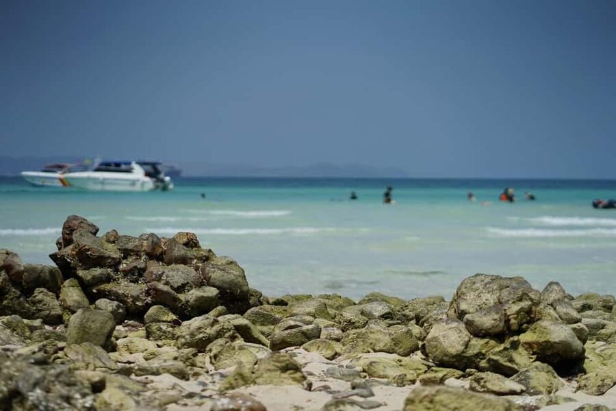 Pattaya Island Trip with Indian Lunch & Flexible Pickup Time - Key things to know before you go
