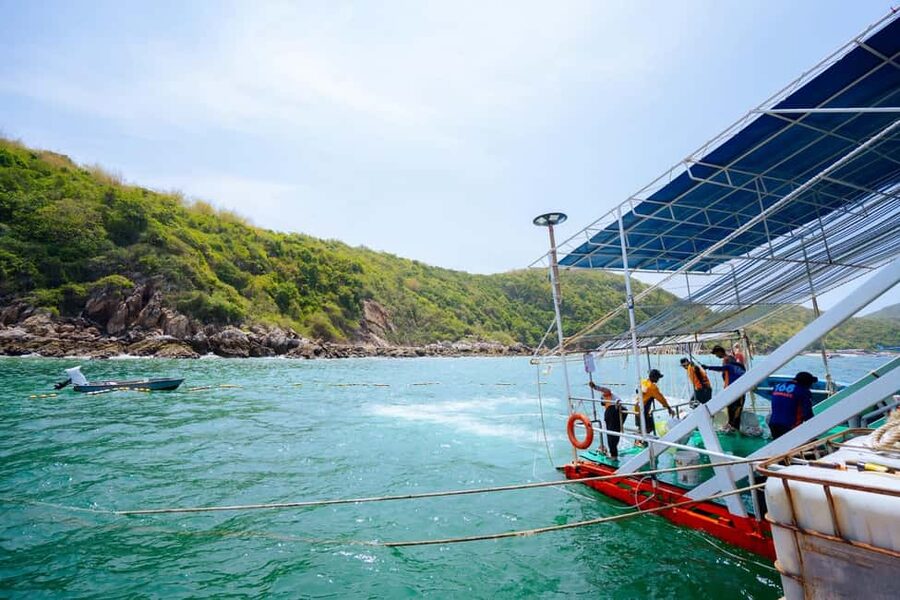 Pattaya Island Trip with Indian Lunch & Flexible Pickup Time - Price and value: $7 is great, but only if your day matches your expectations