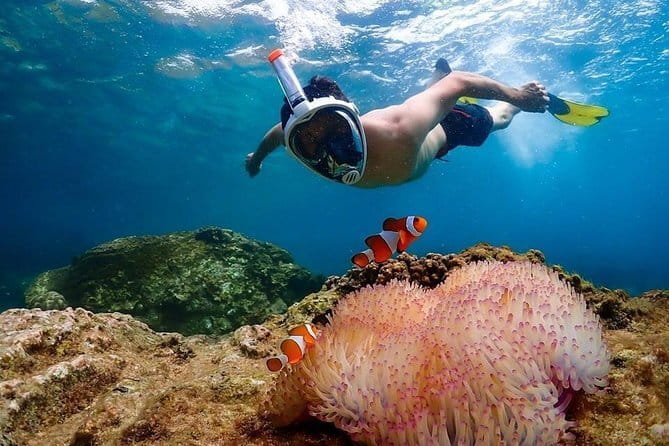 Pattaya: Koh Larn Speedboat Tour with Thai Lunch and Transfers - Speedboat ride to Koh Larn: fast crossing, big views