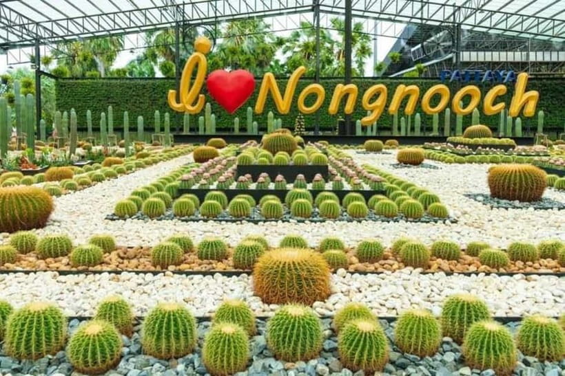 Pattaya: Nong Nooch Tropical Garden Ticket - Price and Value: What $19 Covers (and What It Doesn’t)