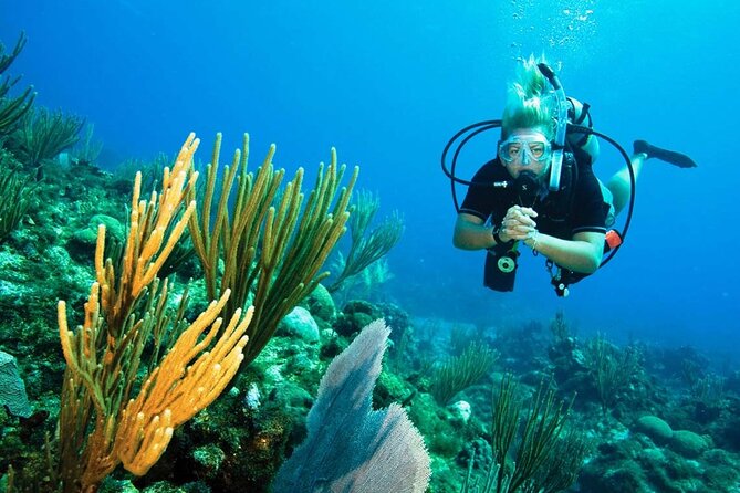 Pattaya PADI Beginner Scuba Diving One Try Dive Depth 6 Meters and Snorkeling ) - Boat day reality: Pattaya islands, rest breaks, and a hot buffet lunch