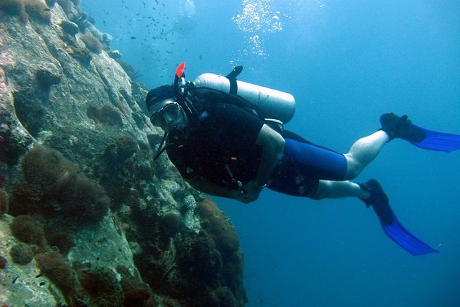 Pattaya PADI Scuba Diving Two Exciting Try Dives with PADI Instructor in Pattaya - Pattaya’s schedule starts at 8:00 a.m. and lasts about 6 hours