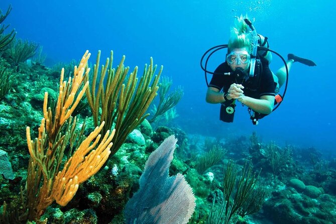 Pattaya PADI Scuba Diving Two Exciting Try Dives with PADI Instructor in Pattaya - Two guided coral-reef sessions (about 40 minutes each): how the day unfolds