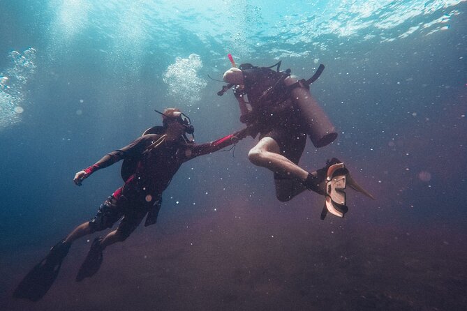 Pattaya PADI Scuba Diving Two Exciting Try Dives with PADI Instructor in Pattaya - Should you book this Pattaya PADI try-scuba experience?
