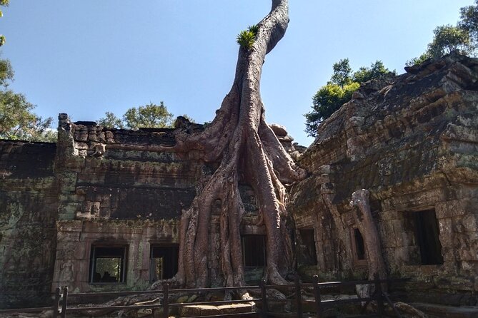 Pattaya to Angkor Wat 2 days 1 night Private tour - How the schedule feels in real life: fast, full, and a bit tiring