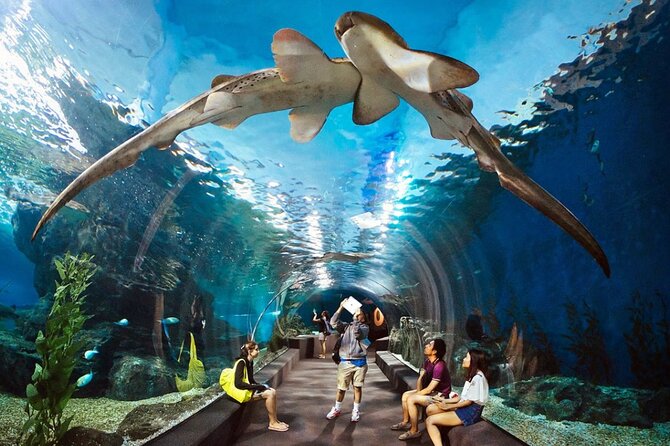 Pattaya Underwater World Admission Ticket - Key Things I’d Prioritize Before You Go