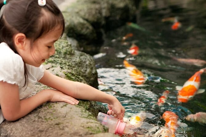 Pattaya Underwater World Admission Ticket - Best Fit: Families, Photographers, and Marine-Lovers