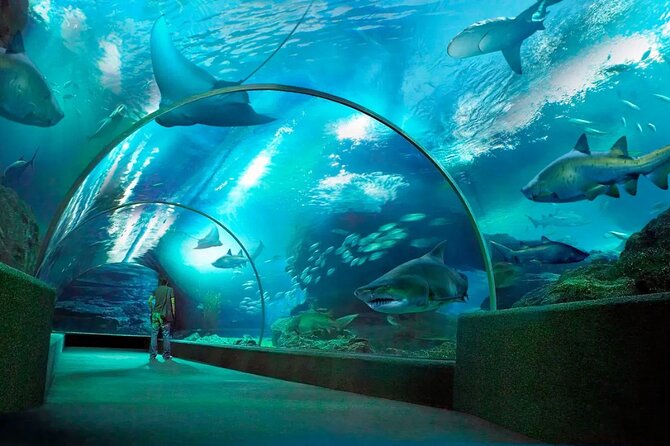 Pattaya Underwater World Admission Ticket - Timing Your Entry: Use the 9:00 AM–6:00 PM Window