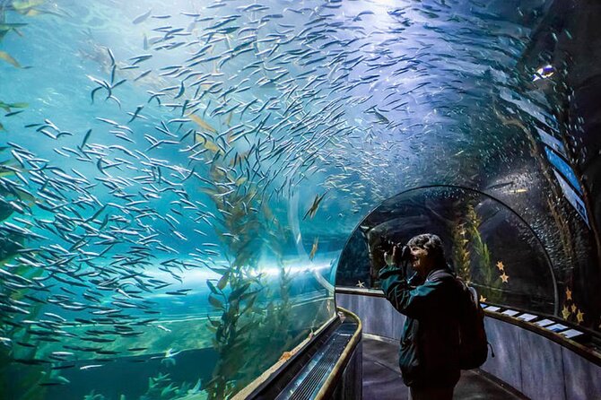 Pattaya Underwater World Admission Ticket - Getting the Most From Your Walk-Through (and Your Photos)