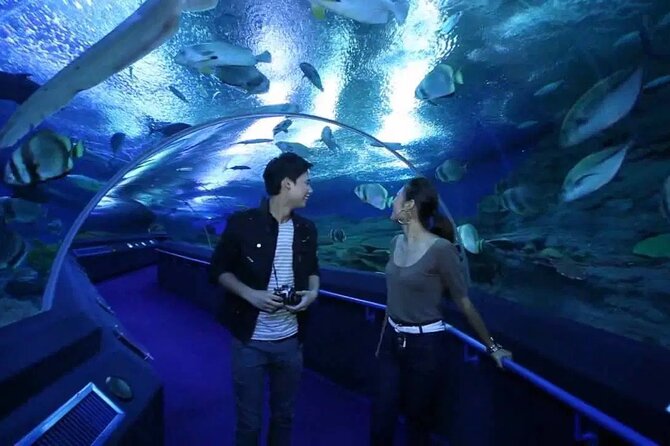 Pattaya Underwater World Admission Ticket - Five Themed Zones: Jellyfish Room and Coral Reef Highlights