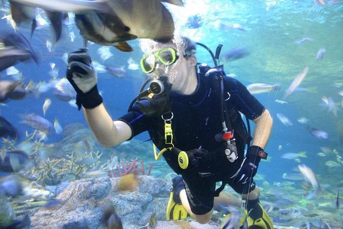 Pattaya Underwater World - Discover Ocean Treasures - Key Highlights You’ll Notice Right Away