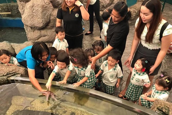 Pattaya Underwater World - Discover Ocean Treasures - Sharks, Rays, and the Interaction Add-On People Talk About