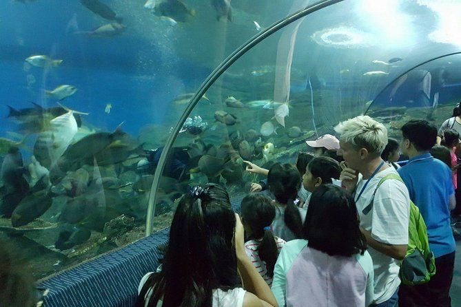 Pattaya Underwater World - Discover Ocean Treasures - Price and Value: Is $15.82 a Good Deal?
