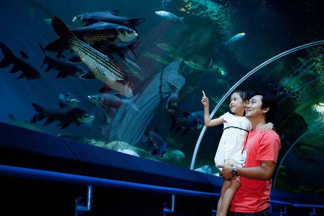 Pattaya Underwater World Tickets with Optional Hotel Pickup - How Long It Takes: A Quick Walk, Not a Full-Day Event