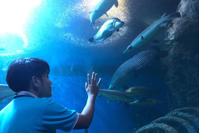 Pattaya Underwater World Tickets with Optional Hotel Pickup - Shops and the Convenience Factor Inside the Venue
