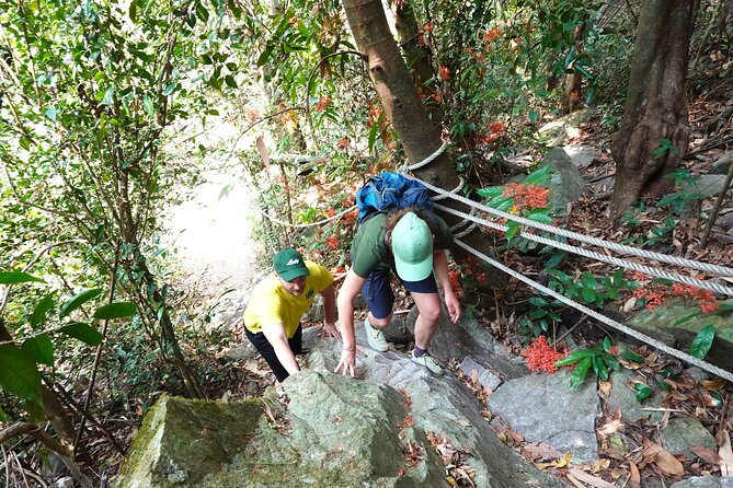 Rayong Adventure Full day Trip from Pattaya Tour - Tung Prong Thong: Mangroves and That Golden Light