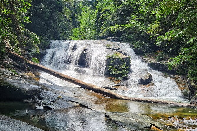 Rayong Adventure Full day Trip from Pattaya Tour - Prasae Estuary Village and Lunch by the Rayong River