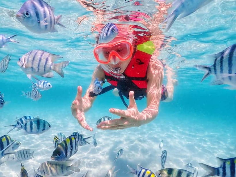Snorkel & Chill: Nemo Island Trip from Pattaya - Snorkeling in Samesan and Nearby Koh Chuang / Koh Jan