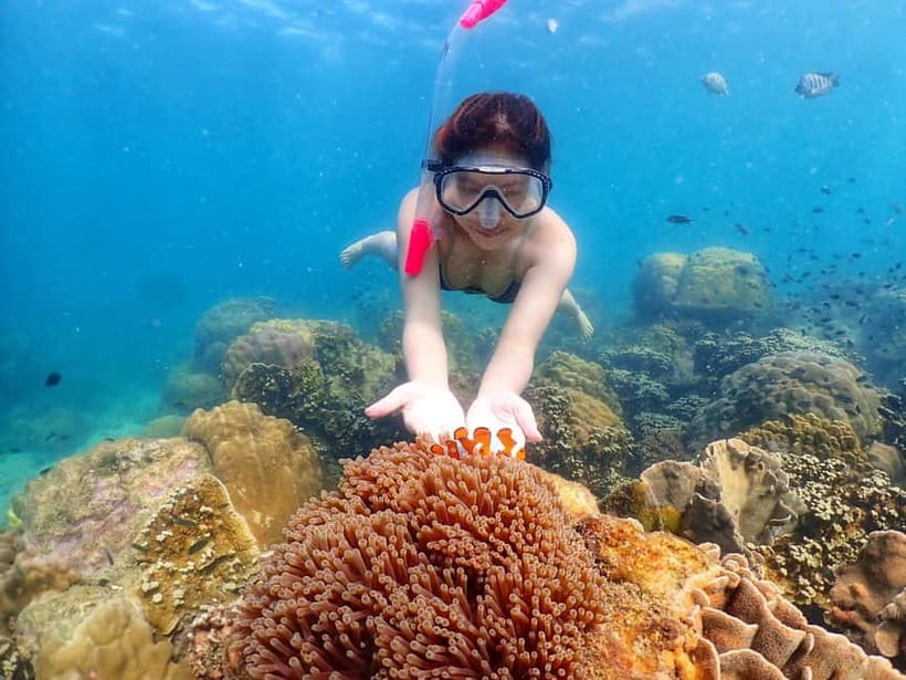 Snorkel & Chill: Nemo Island Trip from Pattaya - The Nemo Photo Experience: Strike a Pose and Get the Originals Free