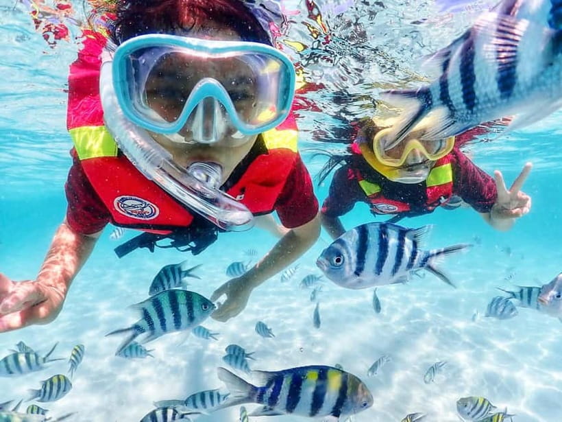 Snorkel & Chill: Nemo Island Trip from Pattaya - Paddleboards, Breathers, and the Rhythm of a 5-Hour Day
