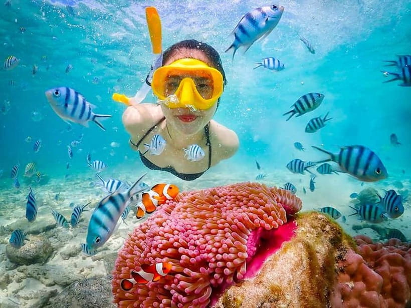 Snorkel & Chill: Nemo Island Trip from Pattaya - Getting To Sattahip Without Stress: Pickup Timing That Actually Matters