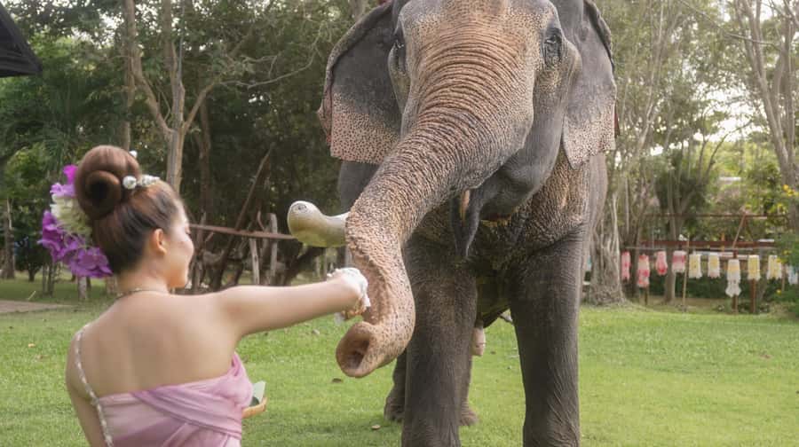 Thai Thani Cultural Village Admission Ticket ( PACKAGE - B ) - Thai Thani Culture Village Package B: what you really get